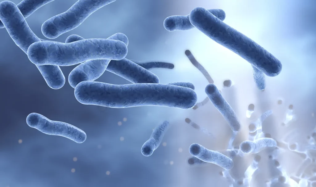 Legionellen sind Bakterien im Warmwasser können eine Legionellose (schwere Lungenentzündung) verursachen
